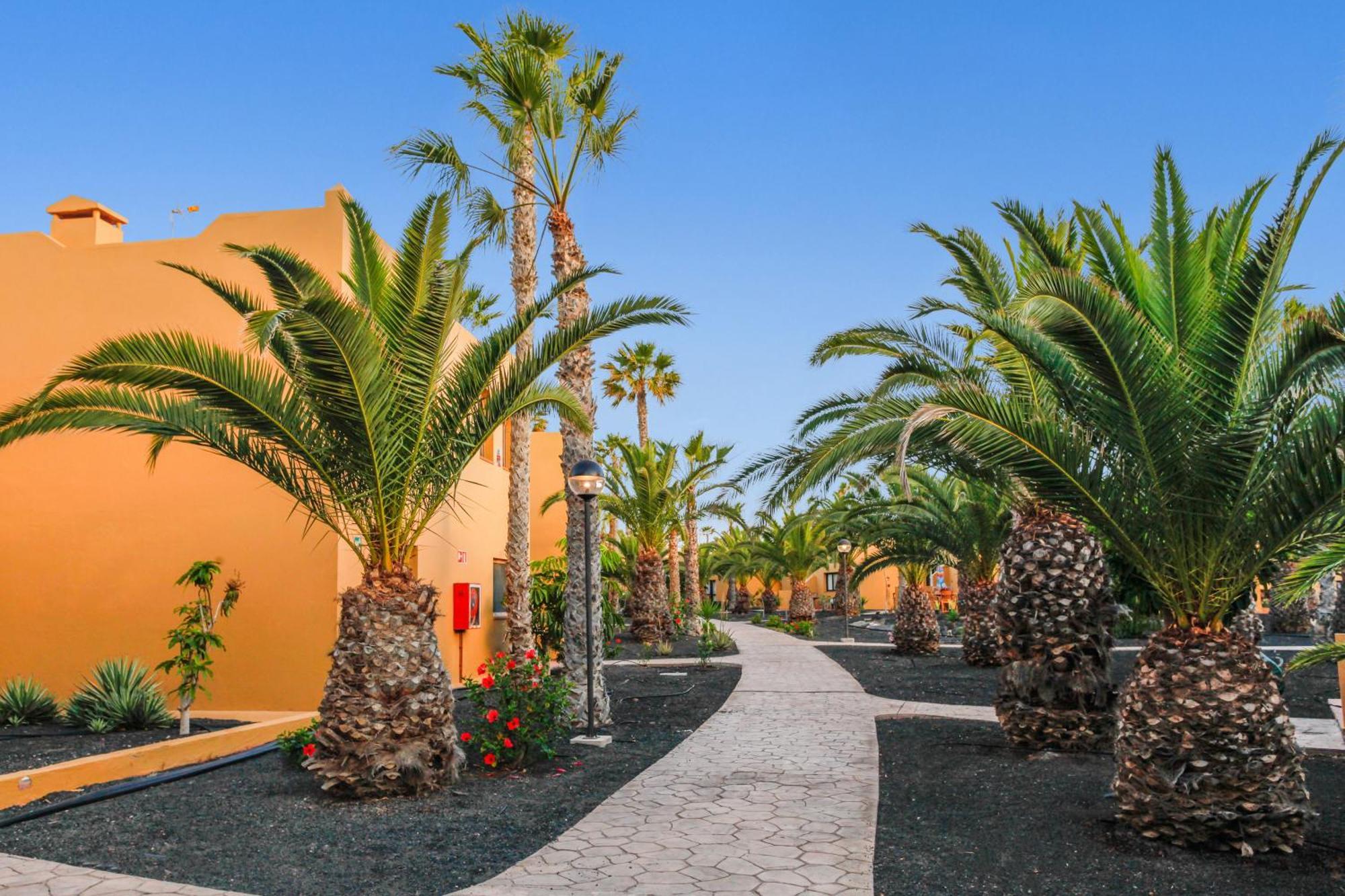 Apartamento Papagayo Corralejo Zewnętrze zdjęcie